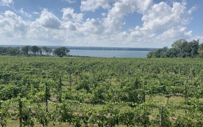 Tasting My Way Through Finger Lakes Wine Country